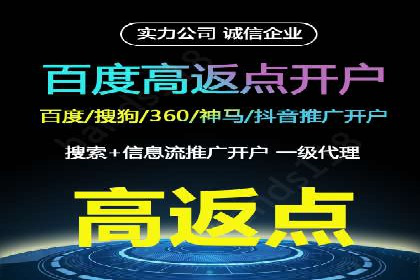 竞价广告赚钱：百度平台案例分析